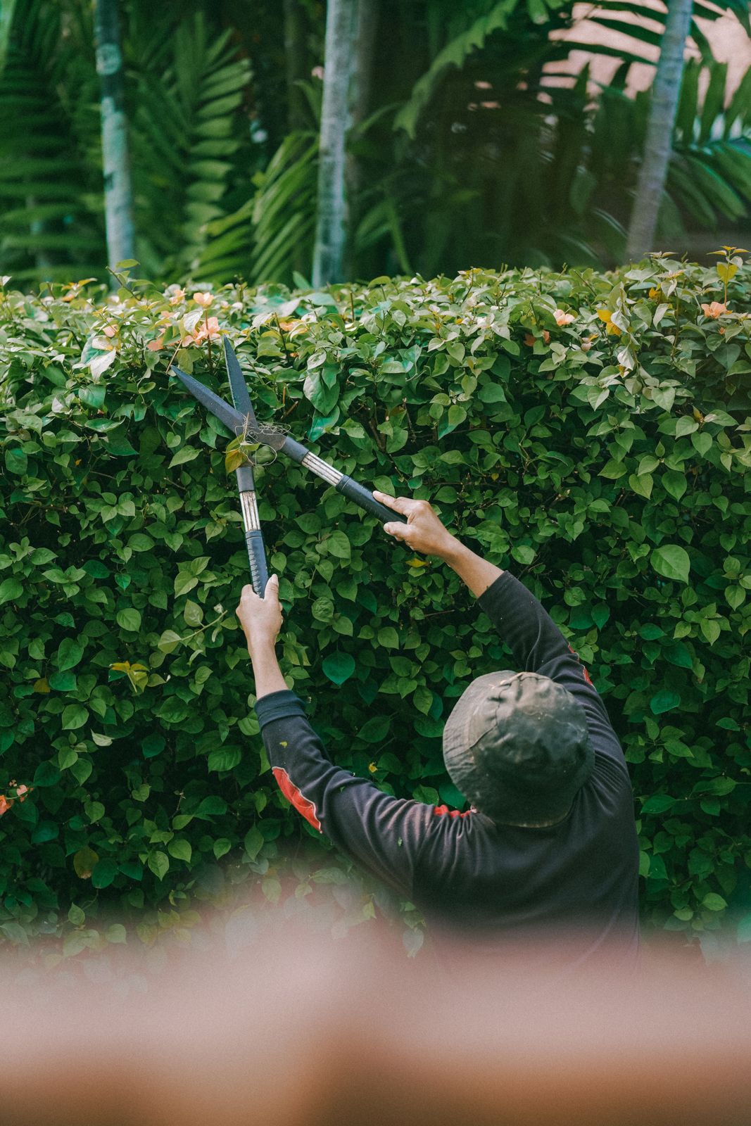 Gardeners in Bromley